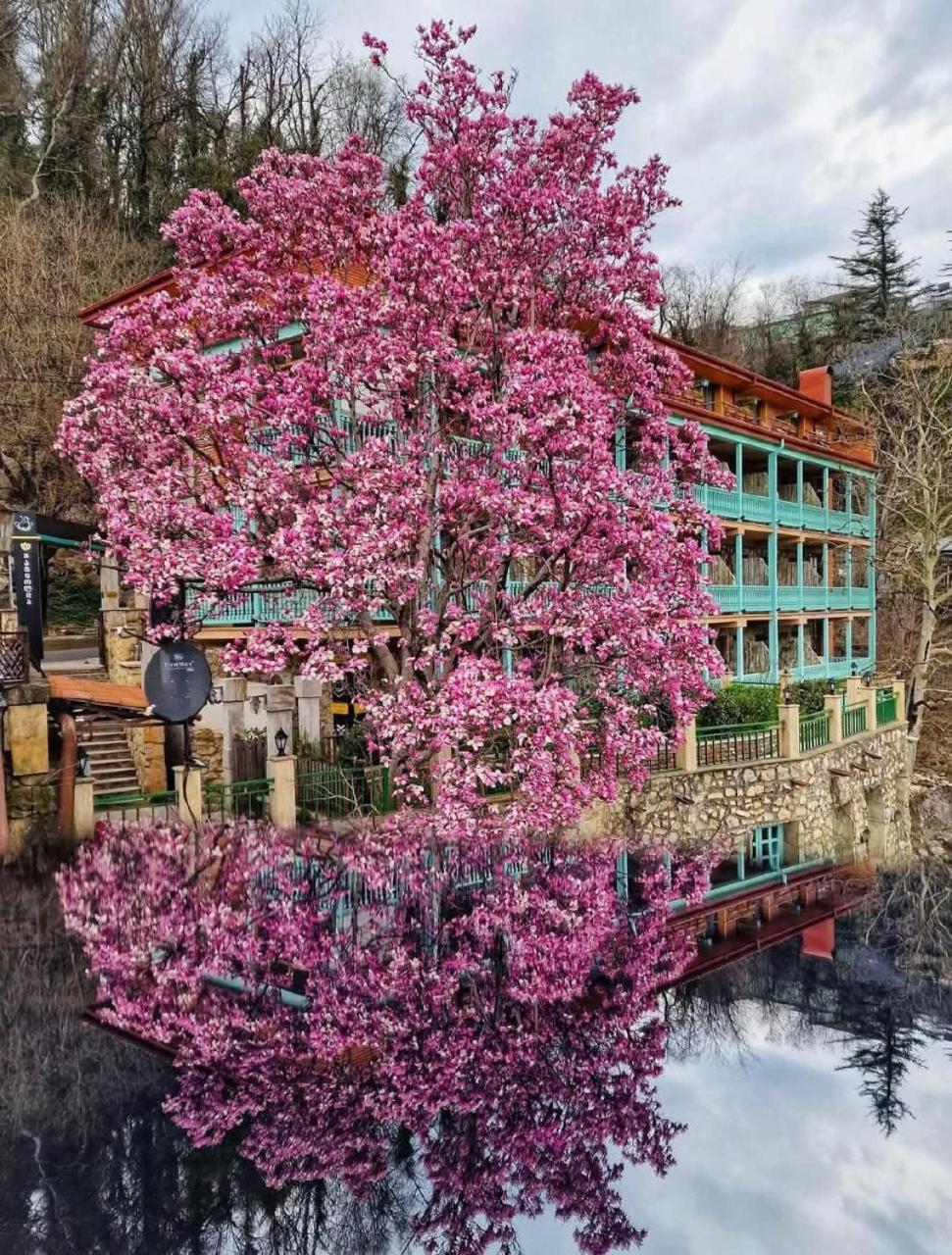 Old Tbilisi Narikala Apartment 外观 照片